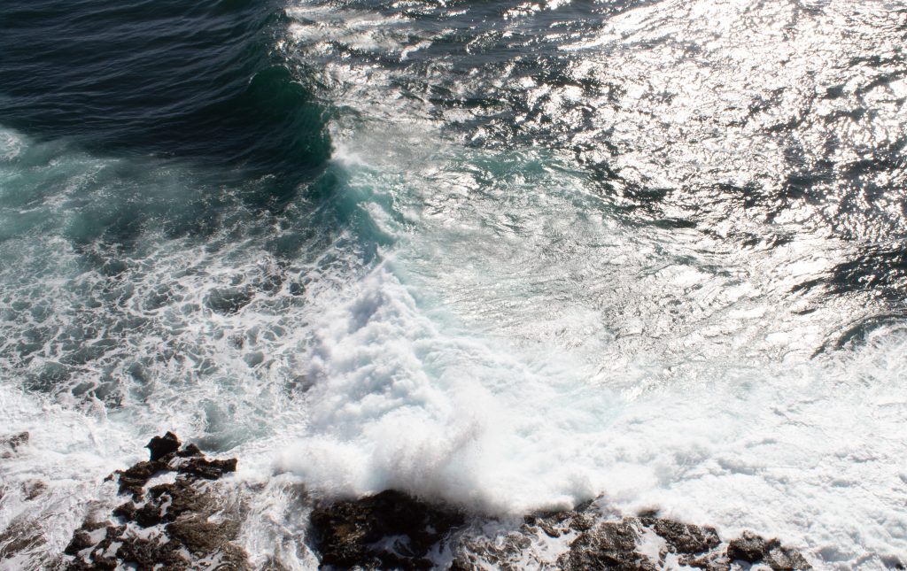 On What the Ocean Means to&nbsp;Me